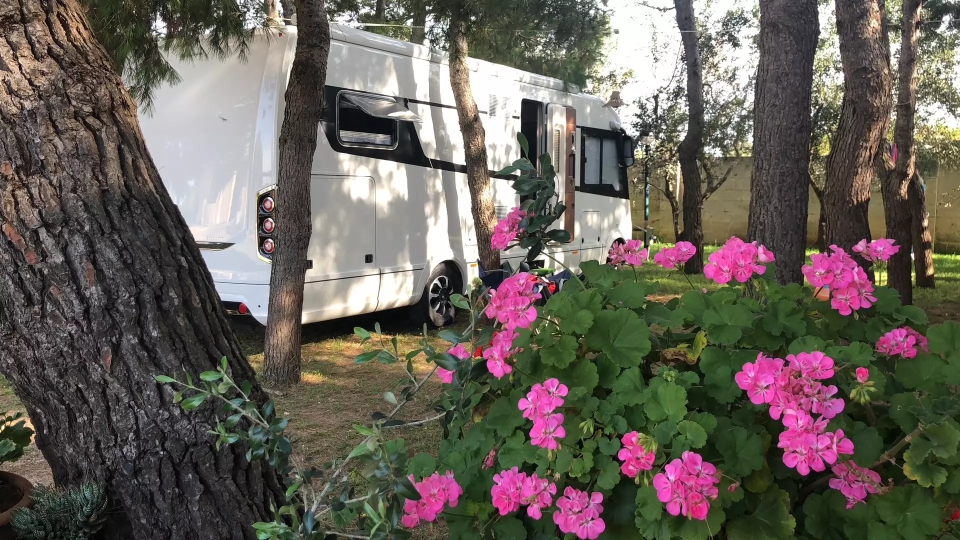 Camper in campeggio tra i fiori